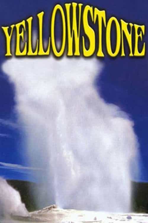 104071