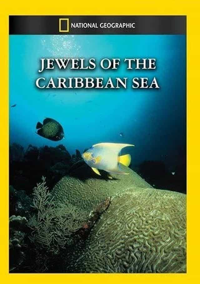 870393