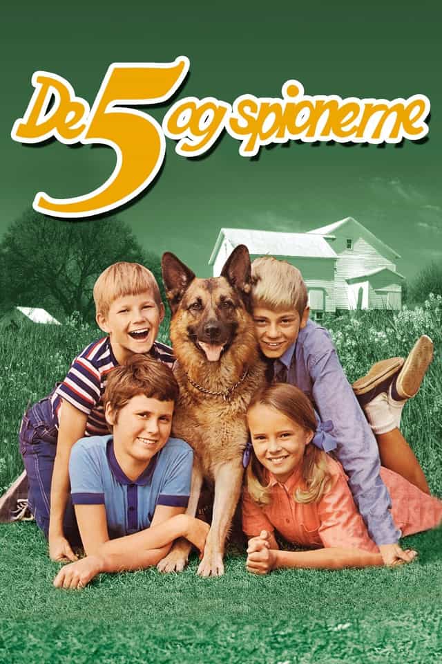 52607