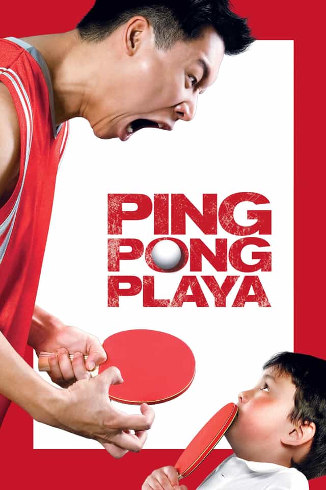 14204