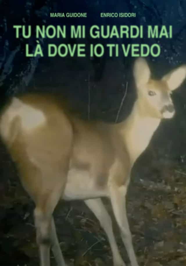 1464617
