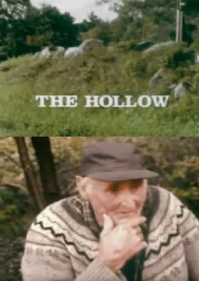 286894