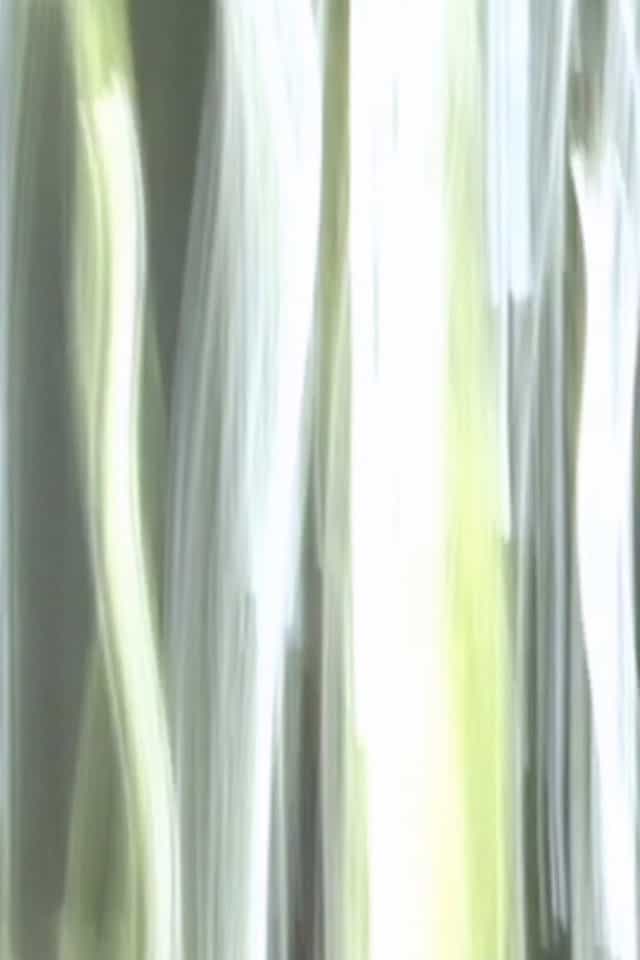 1077475
