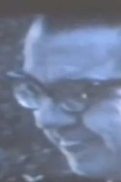 1006597