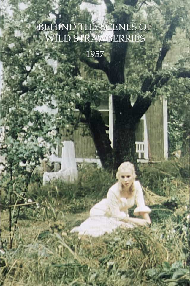 1627363