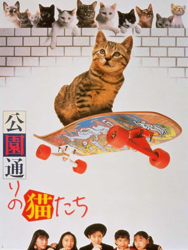 421216