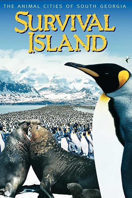 31762