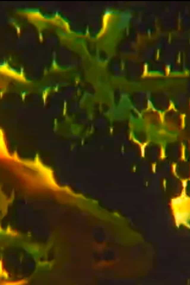 424467