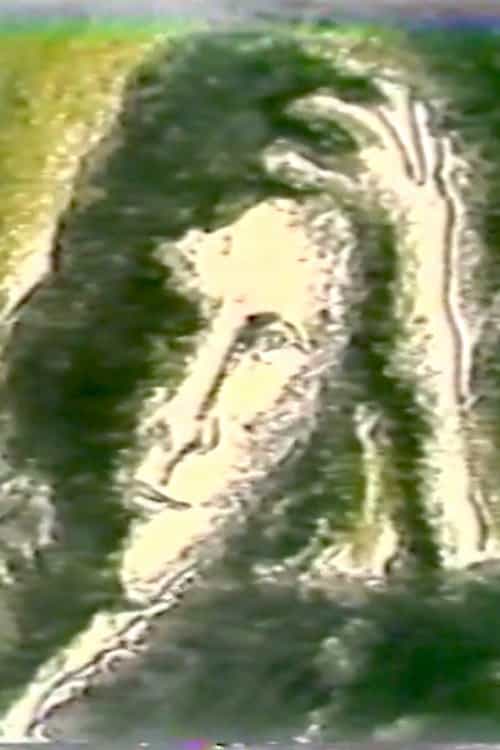 1601971