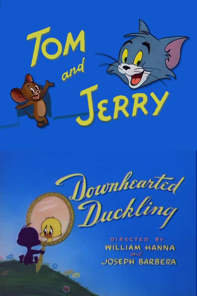 55508