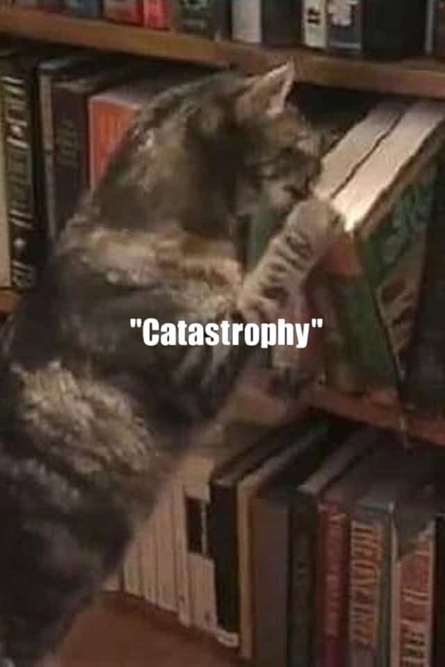 1432014