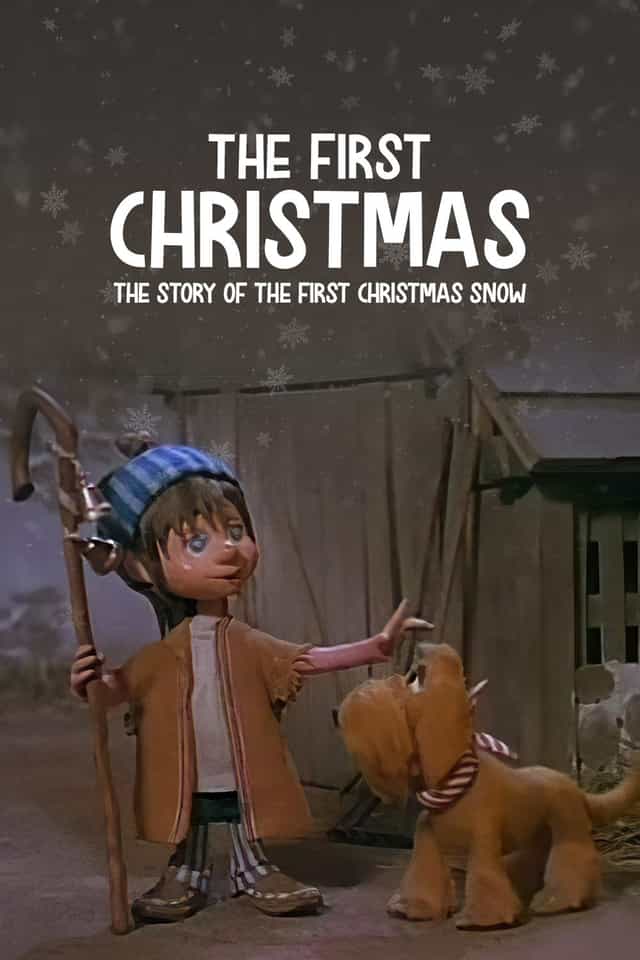 80529