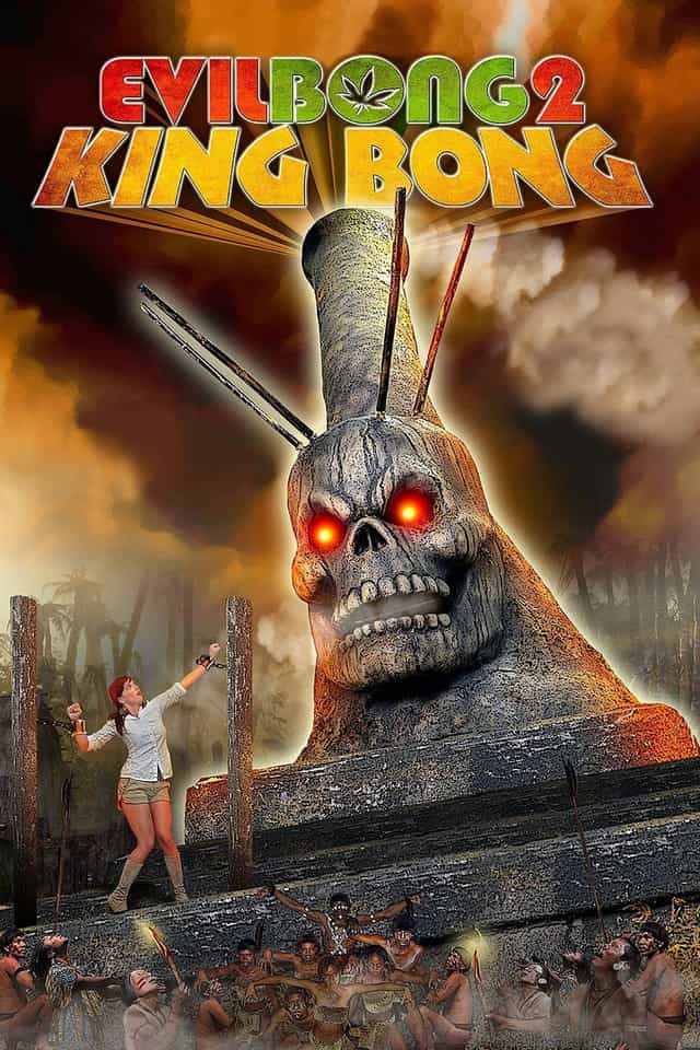 20029