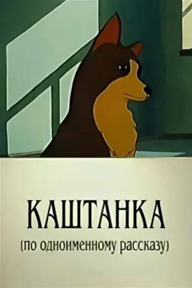 306041