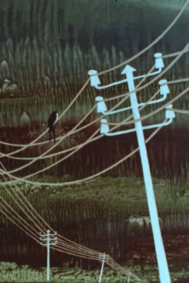 1159772
