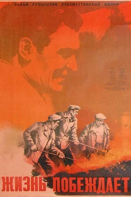 713329