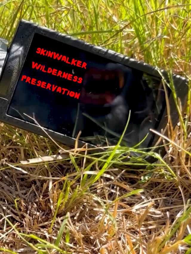 1295197