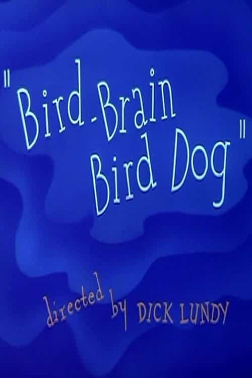 205195