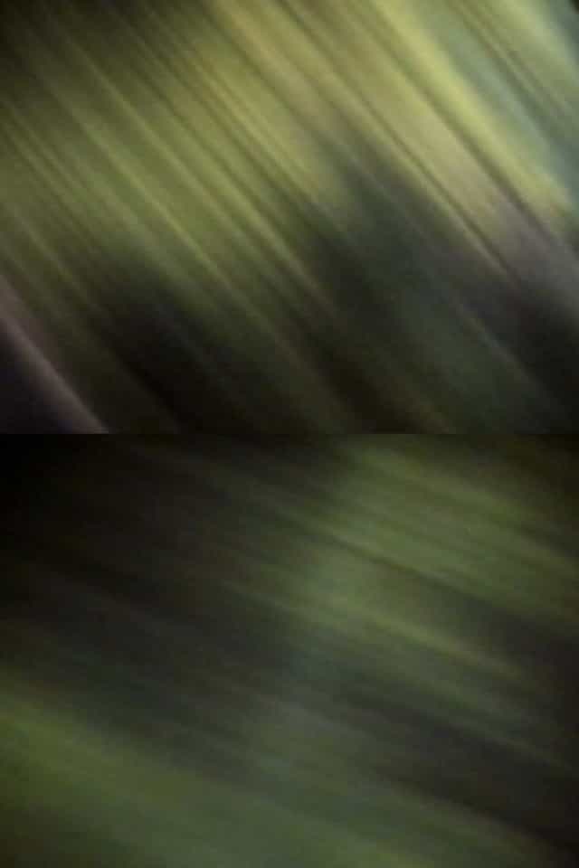 503284