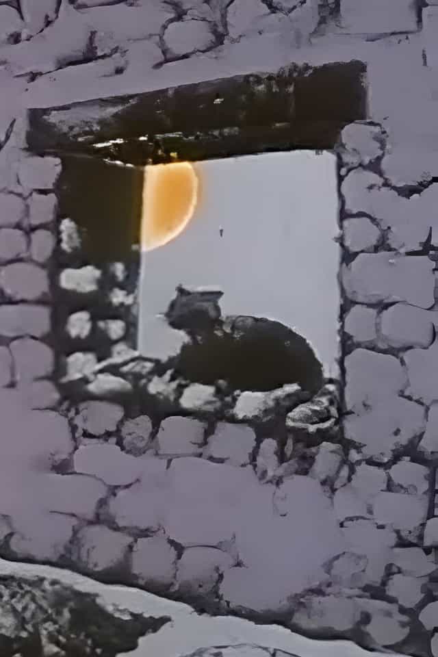 1490242