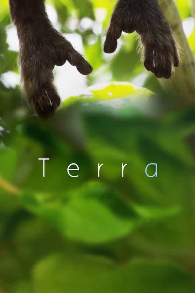 395985