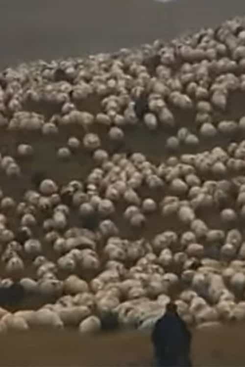 847973