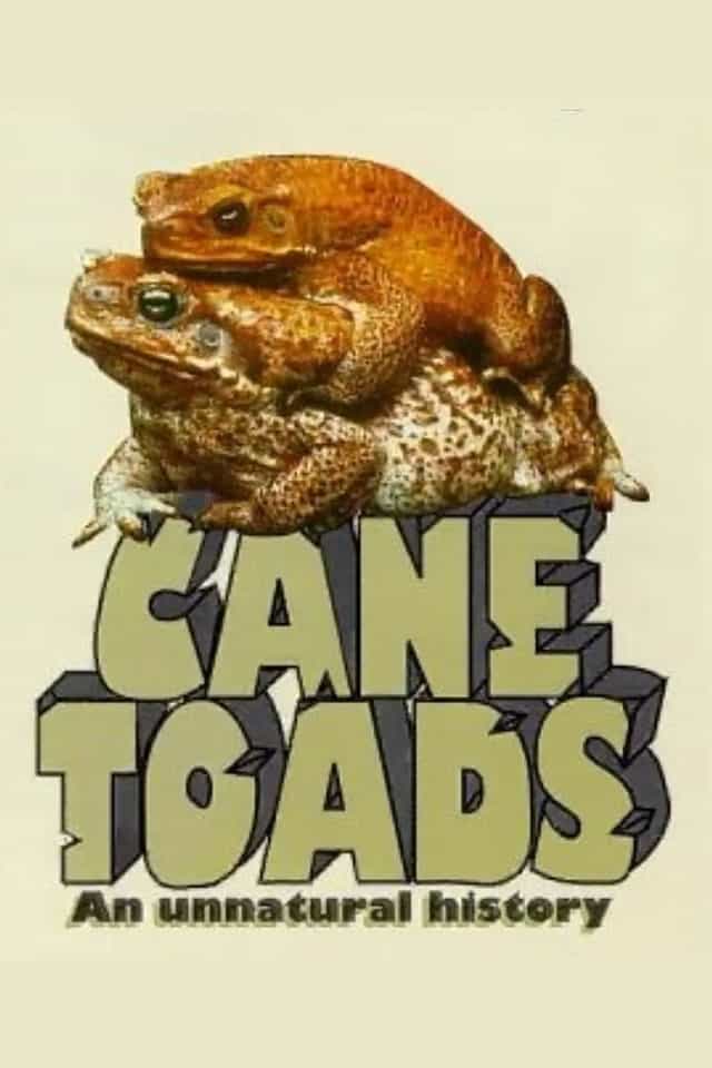 82284