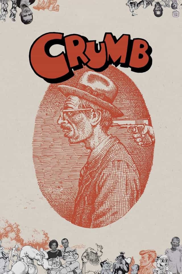 26564