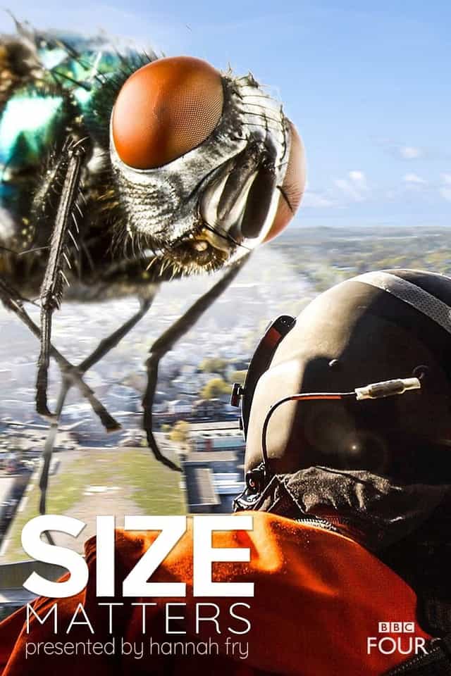 513028