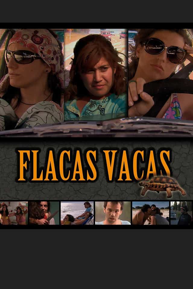 161686