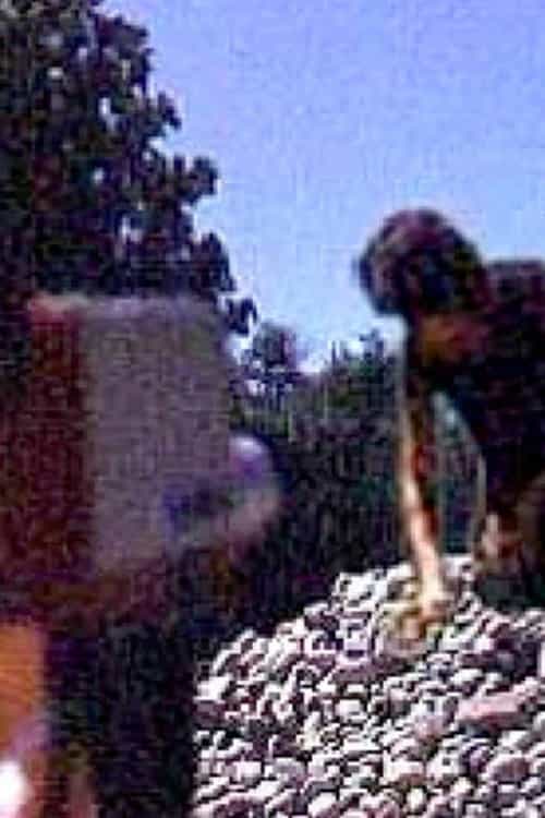 845199