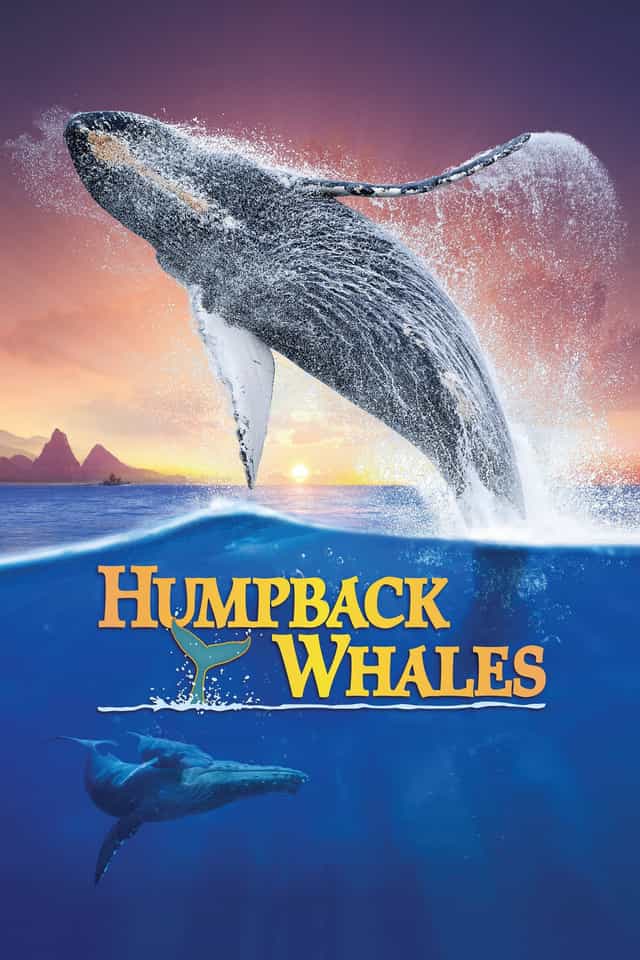 323599