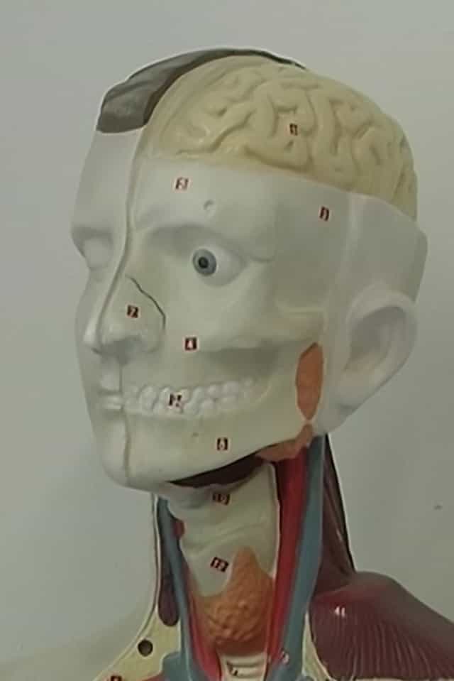 704329