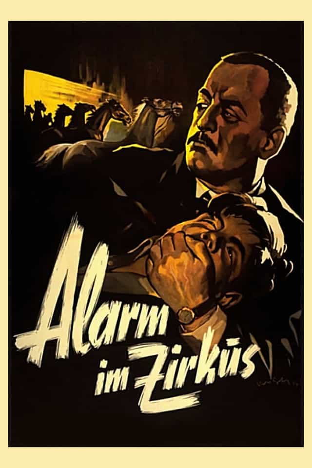 295503