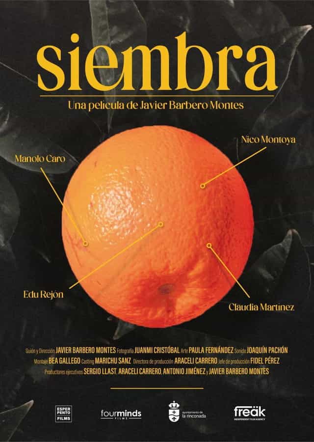 1165899