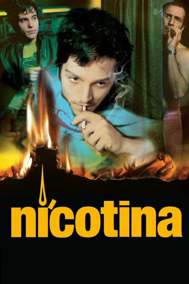 11556