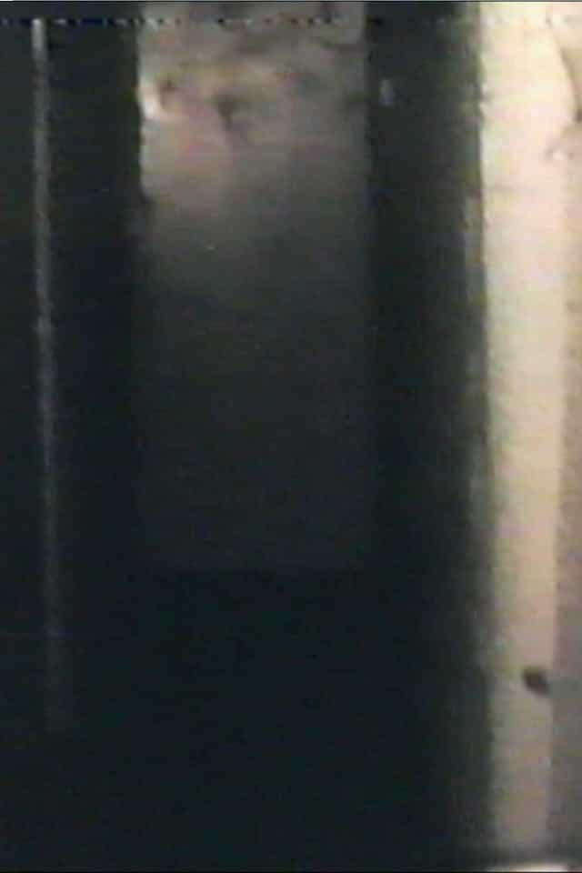 1175101