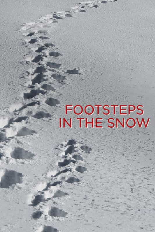 303192