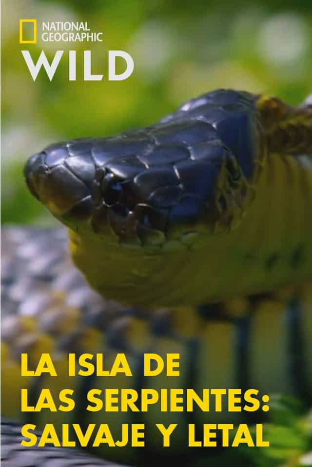 804151