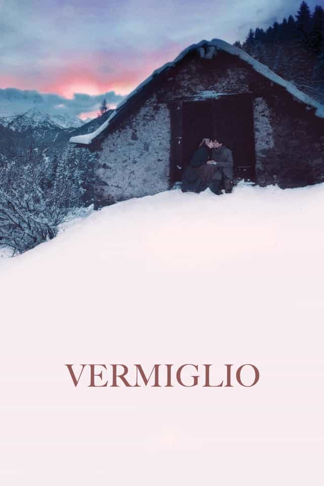 1151244