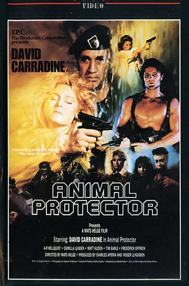 153231