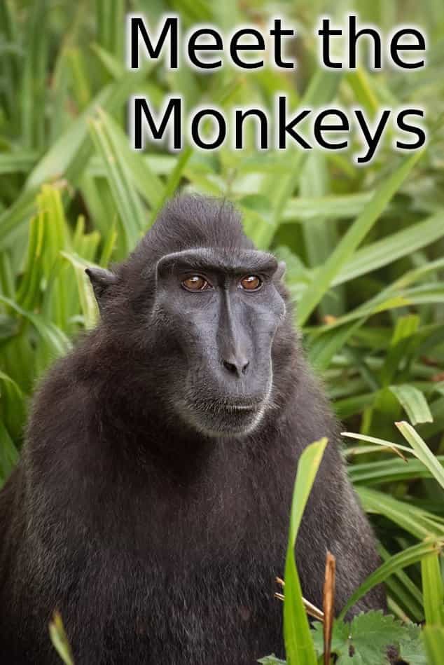 915470