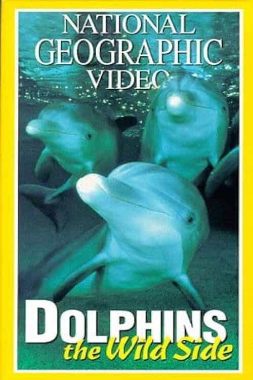 68299
