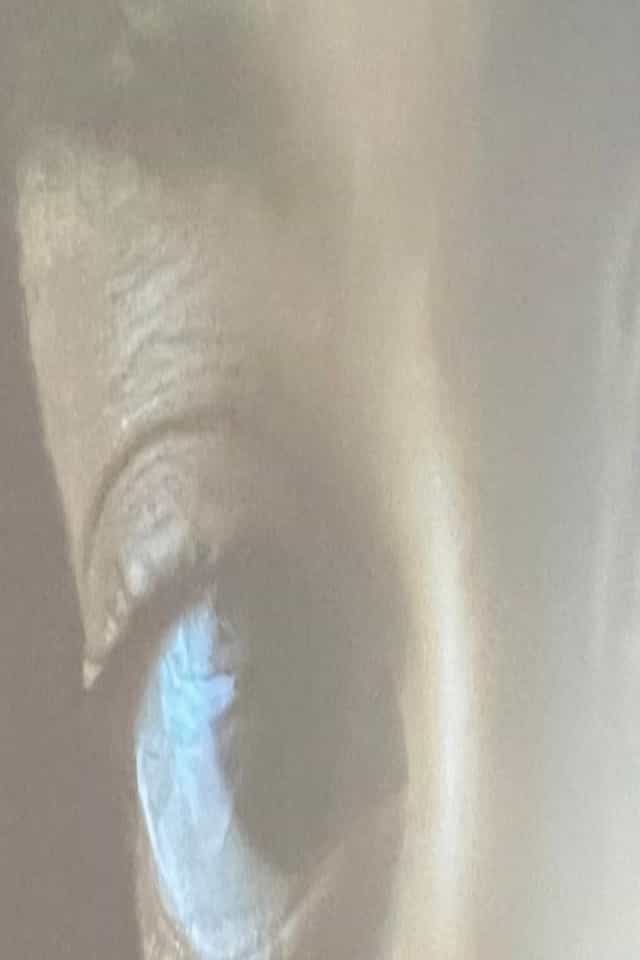 1206255