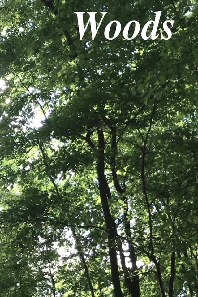 723255