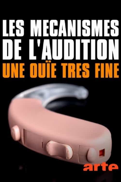 742863