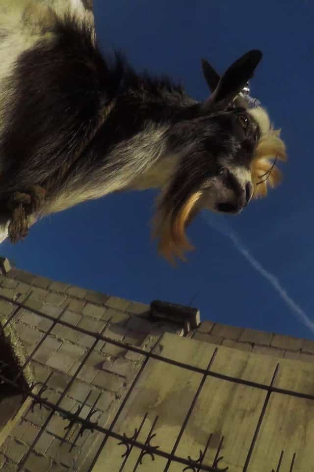 565778