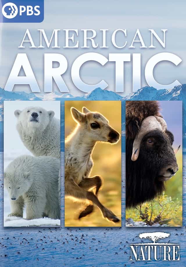970378
