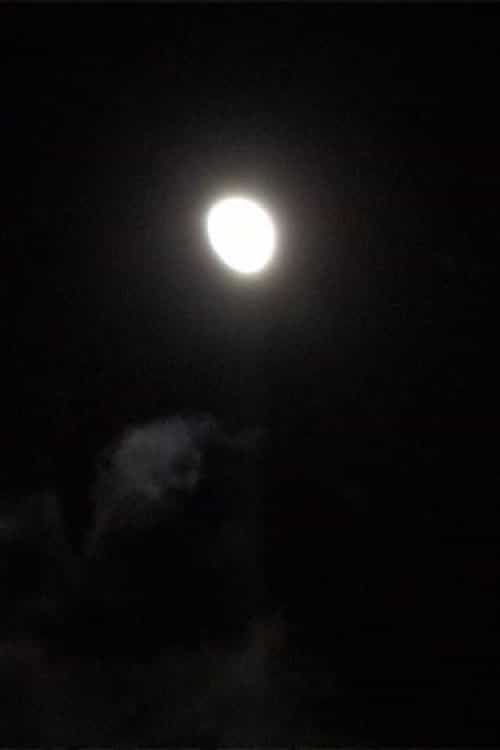1649017