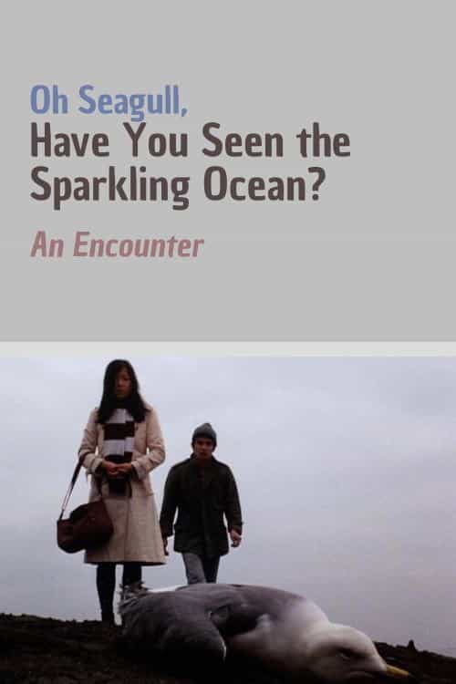 334392